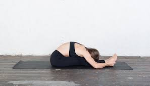 Seated Forward Bend