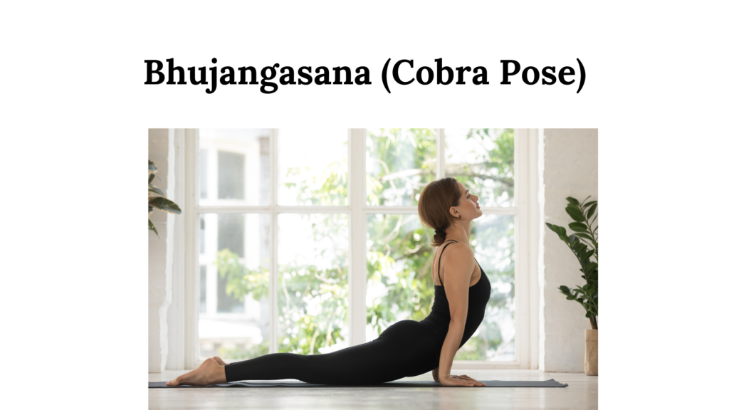 Bhujangasana Cobra Pose 3