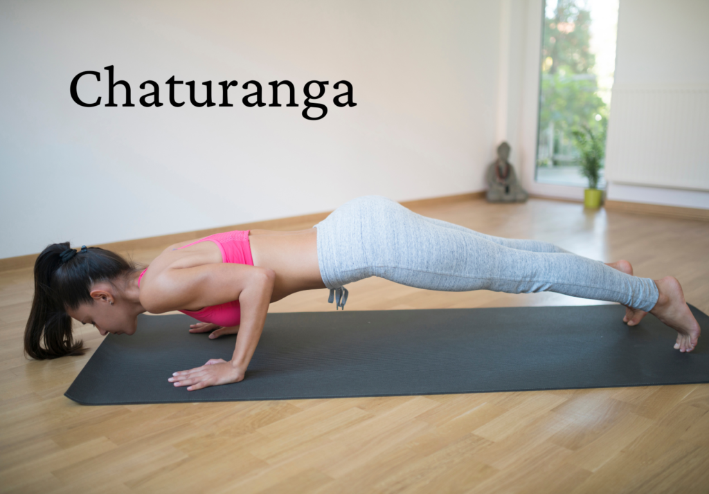 Chaturanga 