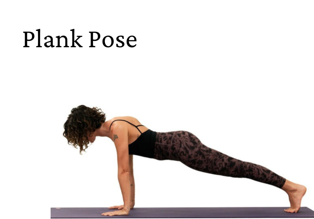 Plank Pose (Phalakasana)