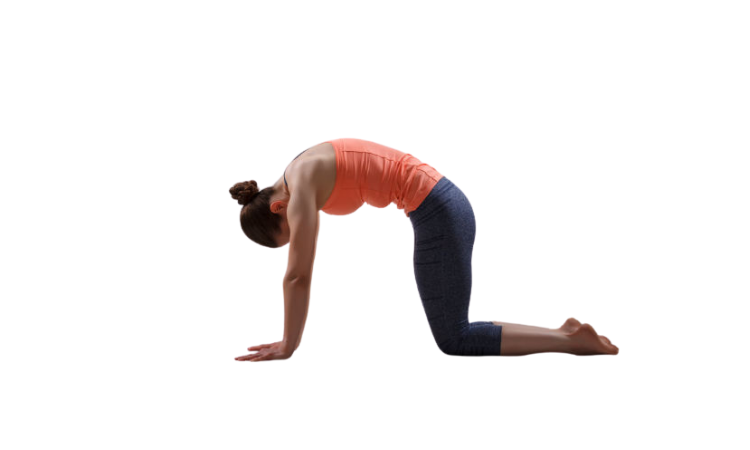 Marjaryasana Bitilasana